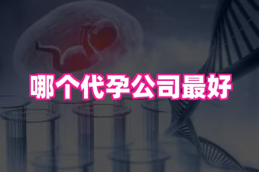 国际助孕网站 3