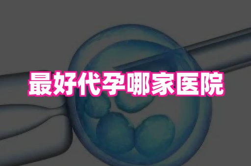 国际助孕网站 4